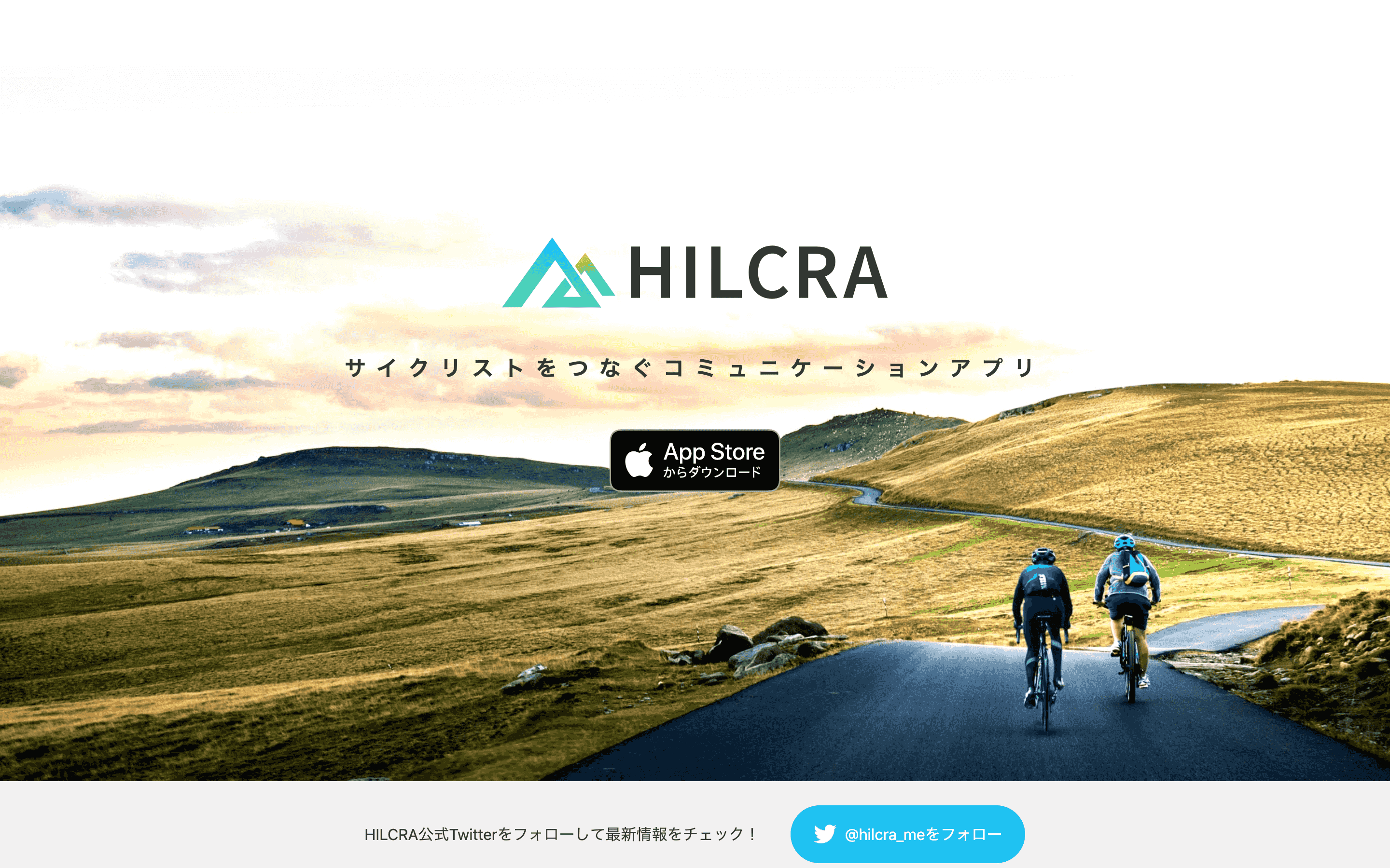 開発実績